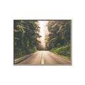 Picture of Foggy Straight Redwood Highway _GroupedProduct_Rectangle_Landscape_Photography _GroupedProduct_Rectangle_Landscape_Canvas_Framed_