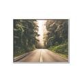 Picture of Foggy Straight Redwood Highway _GroupedProduct_Rectangle_Landscape_Photography _GroupedProduct_Rectangle_Landscape_Canvas_Framed_