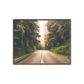 Picture of Foggy Straight Redwood Highway _GroupedProduct_Rectangle_Landscape_Photography _GroupedProduct_Rectangle_Landscape_Canvas_Framed_