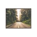 Picture of Foggy Straight Redwood Highway _GroupedProduct_Rectangle_Landscape_Photography _GroupedProduct_Rectangle_Landscape_Canvas_Framed_