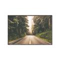 Picture of Foggy Straight Redwood Highway _GroupedProduct_Rectangle_Landscape_Photography _GroupedProduct_Rectangle_Landscape_Canvas_Framed_