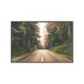 Picture of Foggy Straight Redwood Highway _GroupedProduct_Rectangle_Landscape_Photography _GroupedProduct_Rectangle_Landscape_Canvas_Framed_
