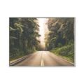 Picture of Foggy Straight Redwood Highway _GroupedProduct_Rectangle_Landscape_Photography _GroupedProduct_Rectangle_Landscape_Canvas_Framed_