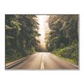 Picture of Foggy Straight Redwood Highway _GroupedProduct_Rectangle_Landscape_Photography _GroupedProduct_Rectangle_Landscape_Canvas_Framed_