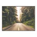 Picture of Foggy Straight Redwood Highway _GroupedProduct_Rectangle_Landscape_Photography _GroupedProduct_Rectangle_Landscape_Canvas_Framed_