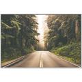 Picture of Foggy Straight Redwood Highway _GroupedProduct_Rectangle_Landscape_Photography _GroupedProduct_Rectangle_Landscape_Canvas_Framed_