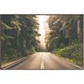 Picture of Foggy Straight Redwood Highway _GroupedProduct_Rectangle_Landscape_Photography _GroupedProduct_Rectangle_Landscape_Canvas_Framed_
