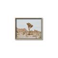 Picture of Dessert Tree _GroupedProduct_Rectangle_Landscape_Photography _GroupedProduct_Rectangle_Landscape_Canvas_Framed_