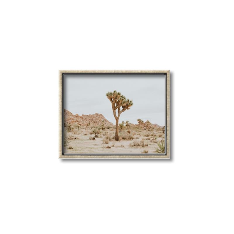 Picture of Dessert Tree _GroupedProduct_Rectangle_Landscape_Photography _GroupedProduct_Rectangle_Landscape_Canvas_Framed_