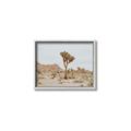 Picture of Dessert Tree _GroupedProduct_Rectangle_Landscape_Photography _GroupedProduct_Rectangle_Landscape_Canvas_Framed_