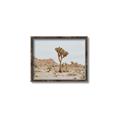 Picture of Dessert Tree _GroupedProduct_Rectangle_Landscape_Photography _GroupedProduct_Rectangle_Landscape_Canvas_Framed_