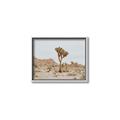 Picture of Dessert Tree _GroupedProduct_Rectangle_Landscape_Photography _GroupedProduct_Rectangle_Landscape_Canvas_Framed_