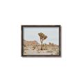 Picture of Dessert Tree _GroupedProduct_Rectangle_Landscape_Photography _GroupedProduct_Rectangle_Landscape_Canvas_Framed_