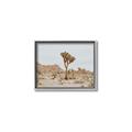 Picture of Dessert Tree _GroupedProduct_Rectangle_Landscape_Photography _GroupedProduct_Rectangle_Landscape_Canvas_Framed_