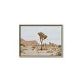 Picture of Dessert Tree _GroupedProduct_Rectangle_Landscape_Photography _GroupedProduct_Rectangle_Landscape_Canvas_Framed_