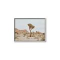 Picture of Dessert Tree _GroupedProduct_Rectangle_Landscape_Photography _GroupedProduct_Rectangle_Landscape_Canvas_Framed_