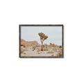 Picture of Dessert Tree _GroupedProduct_Rectangle_Landscape_Photography _GroupedProduct_Rectangle_Landscape_Canvas_Framed_