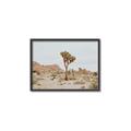 Picture of Dessert Tree _GroupedProduct_Rectangle_Landscape_Photography _GroupedProduct_Rectangle_Landscape_Canvas_Framed_
