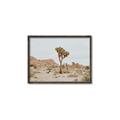 Picture of Dessert Tree _GroupedProduct_Rectangle_Landscape_Photography _GroupedProduct_Rectangle_Landscape_Canvas_Framed_
