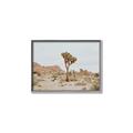 Picture of Dessert Tree _GroupedProduct_Rectangle_Landscape_Photography _GroupedProduct_Rectangle_Landscape_Canvas_Framed_