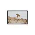 Picture of Dessert Tree _GroupedProduct_Rectangle_Landscape_Photography _GroupedProduct_Rectangle_Landscape_Canvas_Framed_
