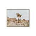 Picture of Dessert Tree _GroupedProduct_Rectangle_Landscape_Photography _GroupedProduct_Rectangle_Landscape_Canvas_Framed_