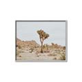 Picture of Dessert Tree _GroupedProduct_Rectangle_Landscape_Photography _GroupedProduct_Rectangle_Landscape_Canvas_Framed_