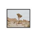 Picture of Dessert Tree _GroupedProduct_Rectangle_Landscape_Photography _GroupedProduct_Rectangle_Landscape_Canvas_Framed_