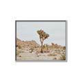 Picture of Dessert Tree _GroupedProduct_Rectangle_Landscape_Photography _GroupedProduct_Rectangle_Landscape_Canvas_Framed_