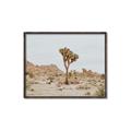 Picture of Dessert Tree _GroupedProduct_Rectangle_Landscape_Photography _GroupedProduct_Rectangle_Landscape_Canvas_Framed_