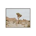 Picture of Dessert Tree _GroupedProduct_Rectangle_Landscape_Photography _GroupedProduct_Rectangle_Landscape_Canvas_Framed_