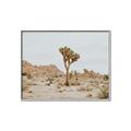 Picture of Dessert Tree _GroupedProduct_Rectangle_Landscape_Photography _GroupedProduct_Rectangle_Landscape_Canvas_Framed_