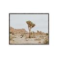 Picture of Dessert Tree _GroupedProduct_Rectangle_Landscape_Photography _GroupedProduct_Rectangle_Landscape_Canvas_Framed_
