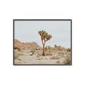 Picture of Dessert Tree _GroupedProduct_Rectangle_Landscape_Photography _GroupedProduct_Rectangle_Landscape_Canvas_Framed_