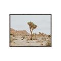 Picture of Dessert Tree _GroupedProduct_Rectangle_Landscape_Photography _GroupedProduct_Rectangle_Landscape_Canvas_Framed_
