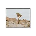 Picture of Dessert Tree _GroupedProduct_Rectangle_Landscape_Photography _GroupedProduct_Rectangle_Landscape_Canvas_Framed_