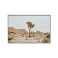 Picture of Dessert Tree _GroupedProduct_Rectangle_Landscape_Photography _GroupedProduct_Rectangle_Landscape_Canvas_Framed_