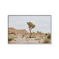Picture of Dessert Tree _GroupedProduct_Rectangle_Landscape_Photography _GroupedProduct_Rectangle_Landscape_Canvas_Framed_