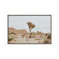 Picture of Dessert Tree _GroupedProduct_Rectangle_Landscape_Photography _GroupedProduct_Rectangle_Landscape_Canvas_Framed_
