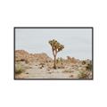 Picture of Dessert Tree _GroupedProduct_Rectangle_Landscape_Photography _GroupedProduct_Rectangle_Landscape_Canvas_Framed_
