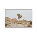 Picture of Dessert Tree _GroupedProduct_Rectangle_Landscape_Photography _GroupedProduct_Rectangle_Landscape_Canvas_Framed_