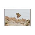Picture of Dessert Tree _GroupedProduct_Rectangle_Landscape_Photography _GroupedProduct_Rectangle_Landscape_Canvas_Framed_