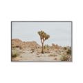 Picture of Dessert Tree _GroupedProduct_Rectangle_Landscape_Photography _GroupedProduct_Rectangle_Landscape_Canvas_Framed_