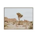 Picture of Dessert Tree _GroupedProduct_Rectangle_Landscape_Photography _GroupedProduct_Rectangle_Landscape_Canvas_Framed_