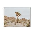 Picture of Dessert Tree _GroupedProduct_Rectangle_Landscape_Photography _GroupedProduct_Rectangle_Landscape_Canvas_Framed_