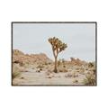 Picture of Dessert Tree _GroupedProduct_Rectangle_Landscape_Photography _GroupedProduct_Rectangle_Landscape_Canvas_Framed_