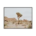 Picture of Dessert Tree _GroupedProduct_Rectangle_Landscape_Photography _GroupedProduct_Rectangle_Landscape_Canvas_Framed_