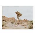 Picture of Dessert Tree _GroupedProduct_Rectangle_Landscape_Photography _GroupedProduct_Rectangle_Landscape_Canvas_Framed_