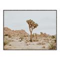 Picture of Dessert Tree _GroupedProduct_Rectangle_Landscape_Photography _GroupedProduct_Rectangle_Landscape_Canvas_Framed_
