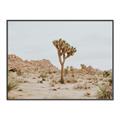 Picture of Dessert Tree _GroupedProduct_Rectangle_Landscape_Photography _GroupedProduct_Rectangle_Landscape_Canvas_Framed_
